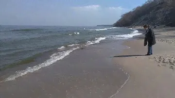 Берег моря в посёлке Отрадное. Балтийское море март 2021