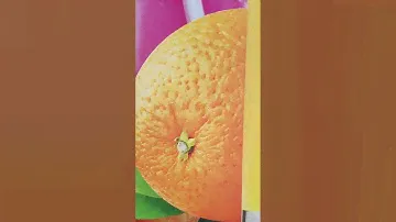 Балтика, море ,