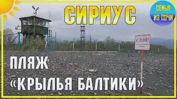 СИРИУС: ДИКИЙ ПЛЯЖ "КРЫЛЬЯ БАЛТИКИ" | Субтропический рай в отдельно взятом городе